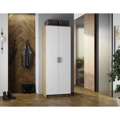 Шкаф 2-х створчатый Евро ШК-01 - Белый / Крафт (BTS)