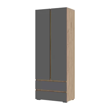 Шкаф 2х створчатый Хелен ШК-01 - Графит серый/Дуб крафт золотой (Стендмебель)