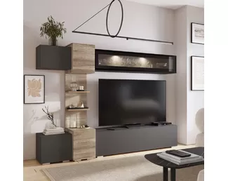 Гостиная Рейн ГС-01 - Дуб Каньон/Графит (BTS)