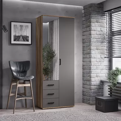 Шкаф 2-х створчатый Вегас ШК-03 - Графит/Дуб каньон (BTS)