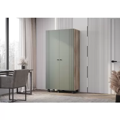 Шкаф 2-х створчатый Олива ШК-03 - Дуб Каньон/Эвкалипт Софт MF12 (BTS)