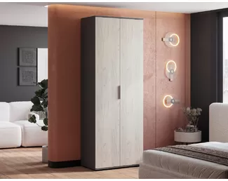 Шкаф Плаза ШК-04 - Графит/Дуб крафт белый (BTS)